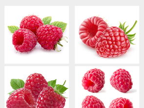 多種水果高清大圖與設計素材集合，附飲品美食大全與新鮮蔬菜資源